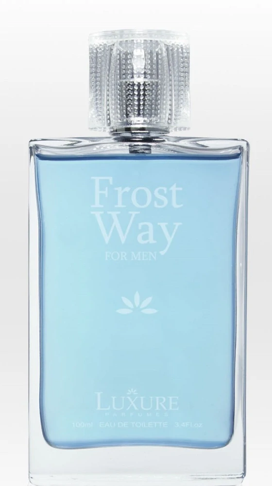 TESTER 100ml Pánský parfém FROST WAY