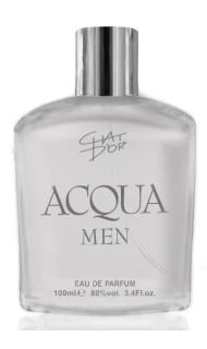 TESTER 100ml Pánské EDT 100ml ACQUA